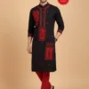 Aplick Design Embroidery Kurta